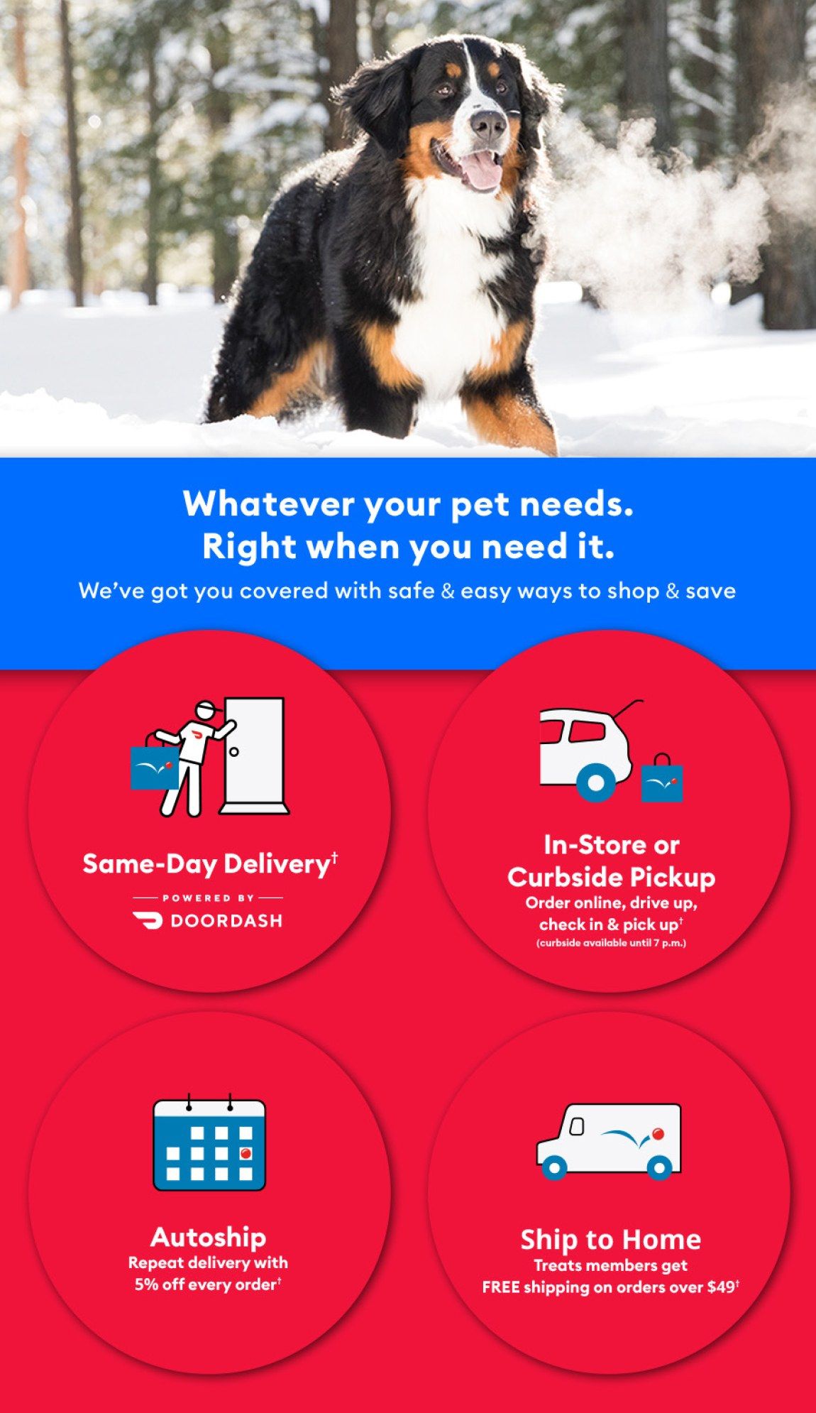 PetSmart Weekly Ad Flyer February 1 to February 28