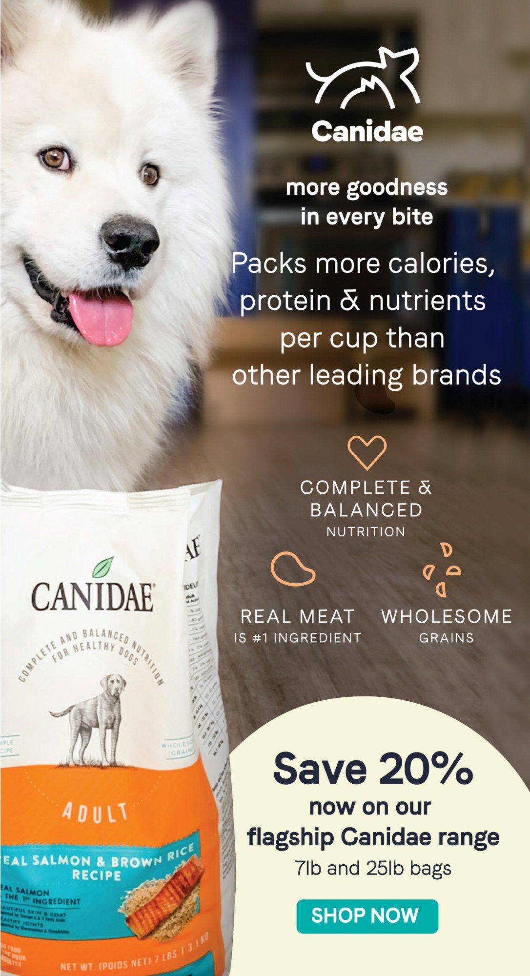 PetSmart Weekly Ad Flyer February 1 to February 28