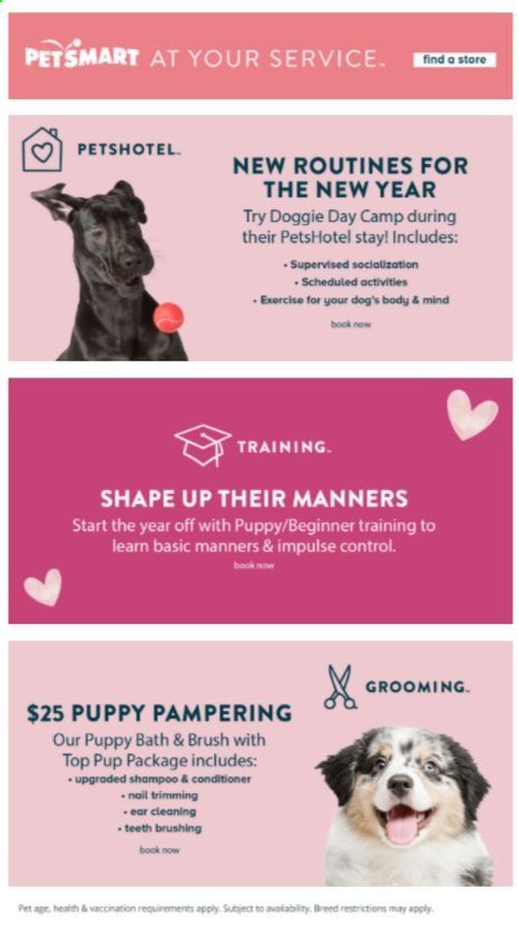 PetSmart Weekly Ad Flyer February 1 to February 28