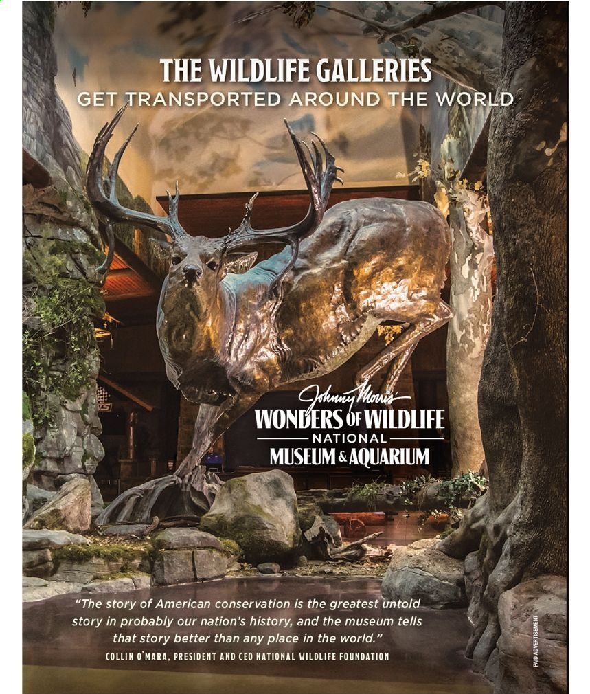 Cabela's Weekly Ad Flyer February 3 to December 25