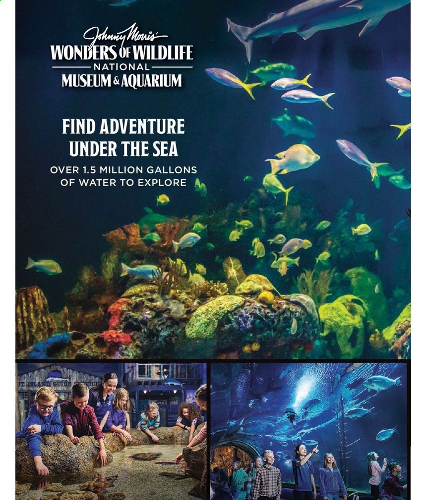 Cabela's Weekly Ad Flyer February 3 to December 25
