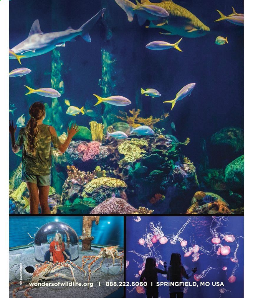 Cabela's Weekly Ad Flyer February 3 to December 25