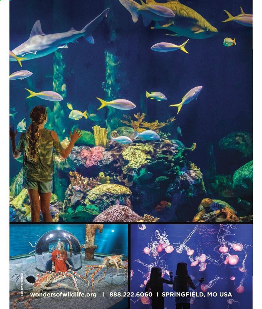 Bass Pro Shops Weekly Ad Flyer February 3 to December 25