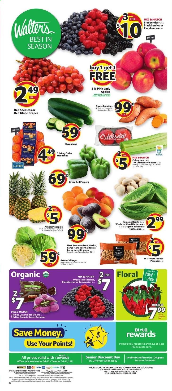 BI-LO Weekly Ad Flyer February 10 to February 16