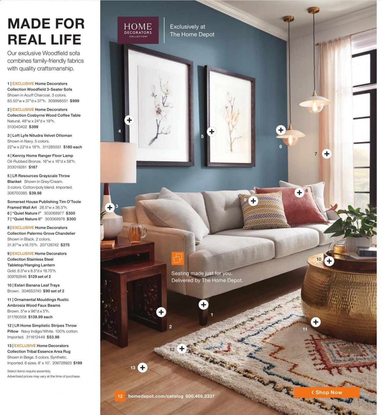 The Home Depot Weekly Ad Flyer February 8 to March 7