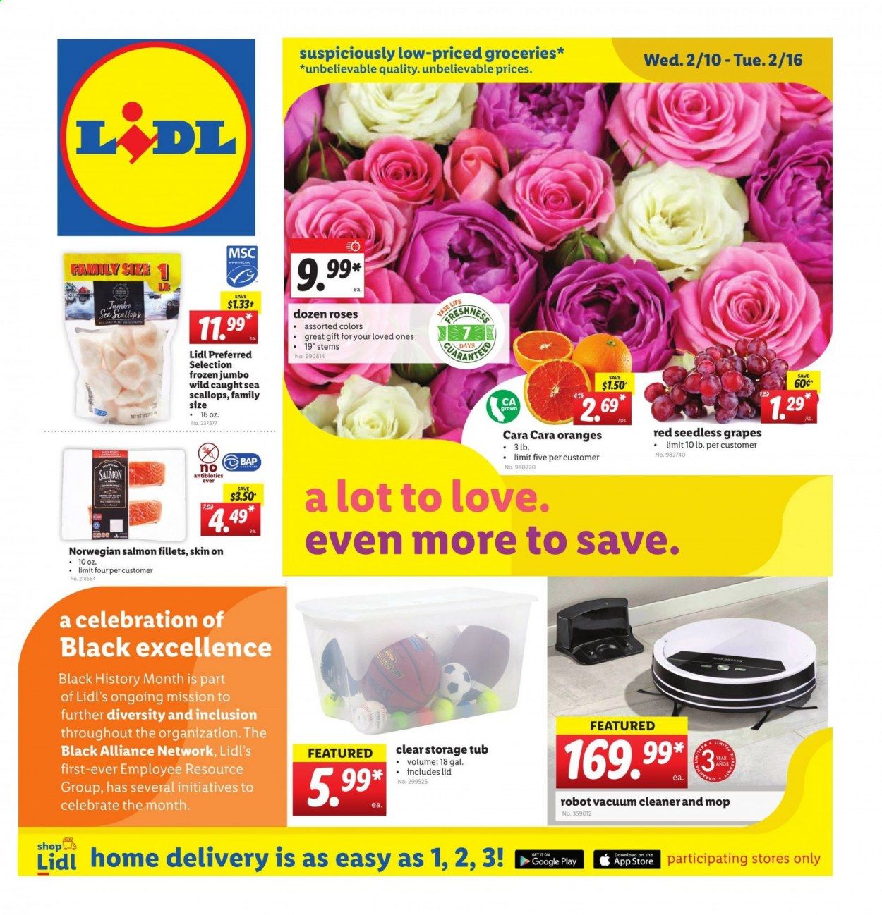 Lidl Weekly Ad Flyer February 10 to February 16