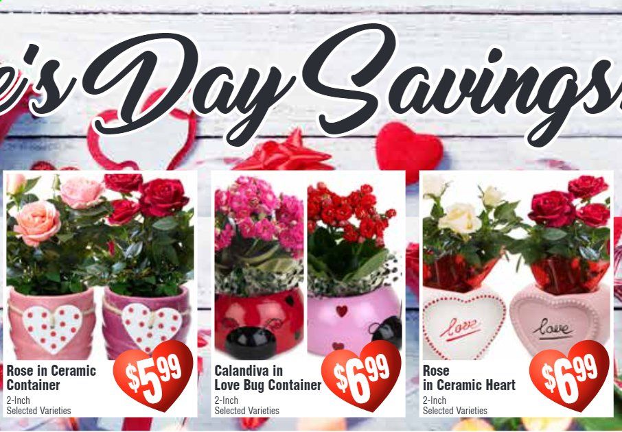 Rosauers Weekly Ad Flyer February 10 to February 16