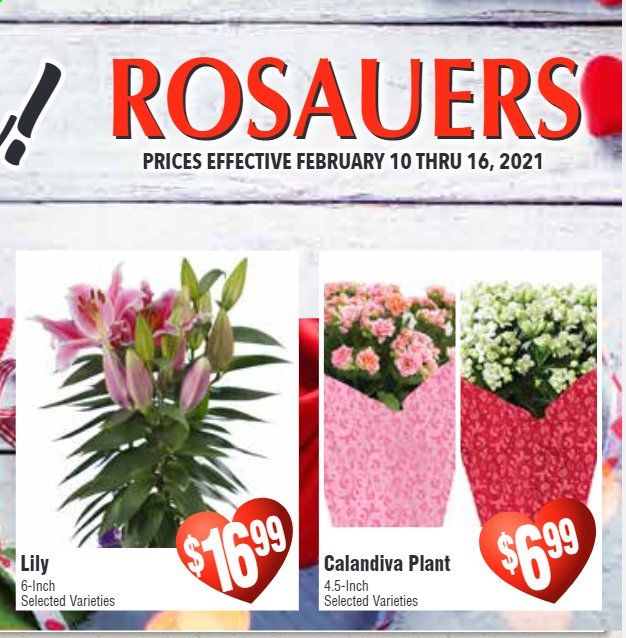 Rosauers Weekly Ad Flyer February 10 to February 16