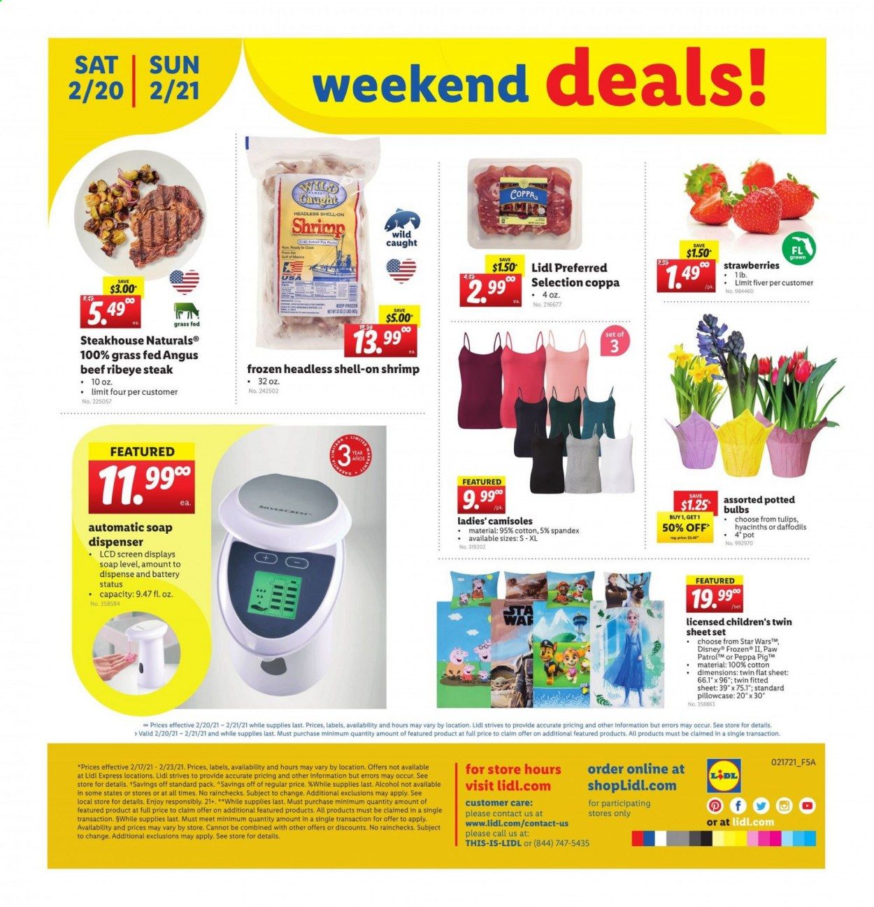 Lidl Weekly Ad Flyer February 17 to February 23