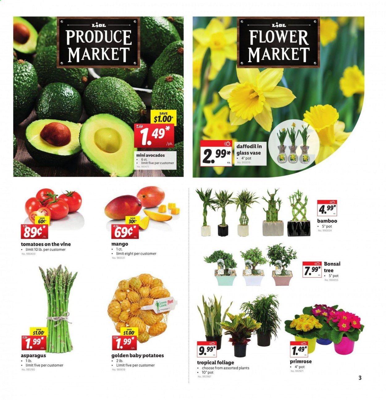 Lidl Weekly Ad Flyer February 17 to February 23