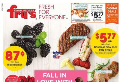 Fry’s (AZ) Weekly Ad Flyer February 10 to February 16