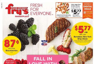 Fry’s (AZ) Weekly Ad Flyer February 10 to February 16
