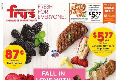 Fry’s (AZ) Weekly Ad Flyer February 10 to February 16