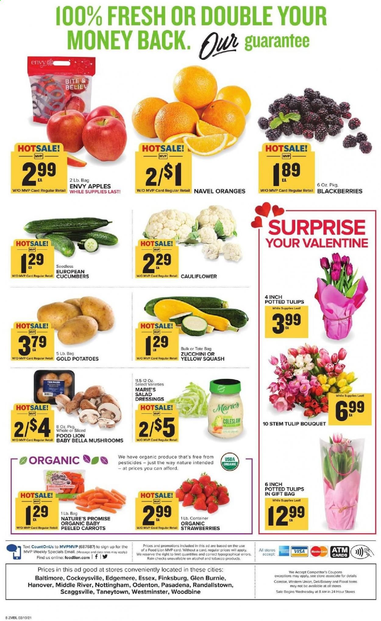 Food Lion (MD) Weekly Ad Flyer February 10 to February 16
