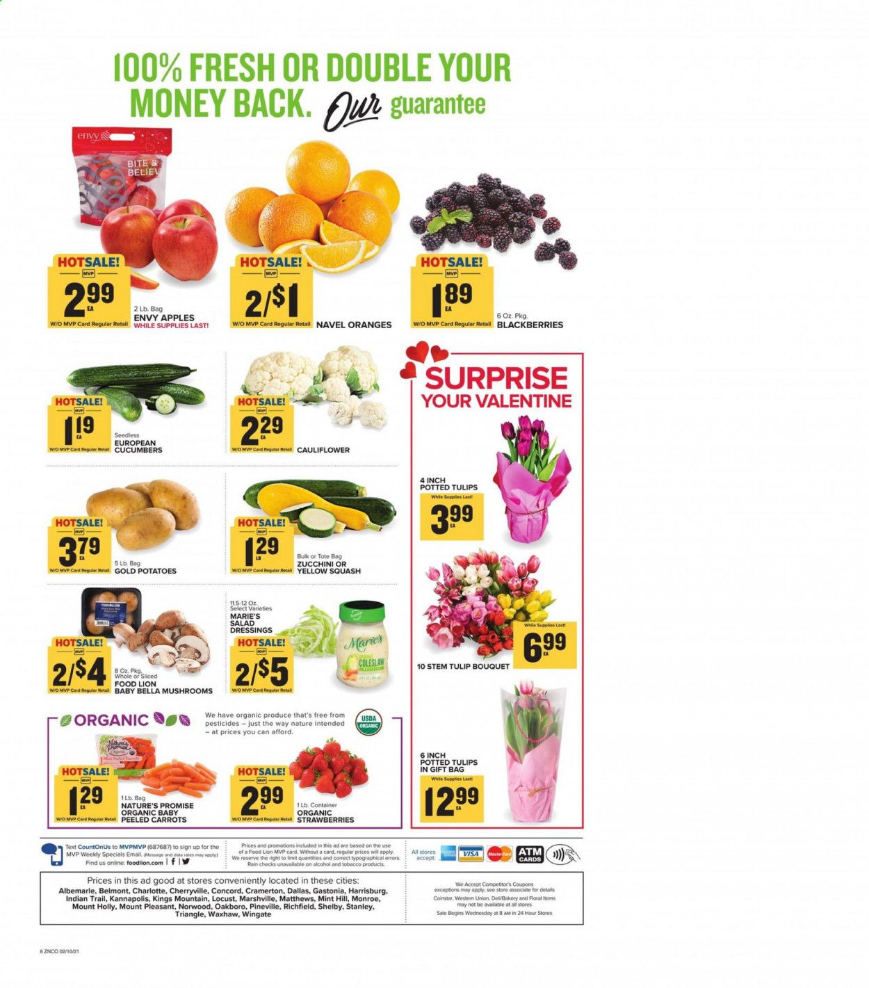 Food Lion (NC) Weekly Ad Flyer February 10 to February 16
