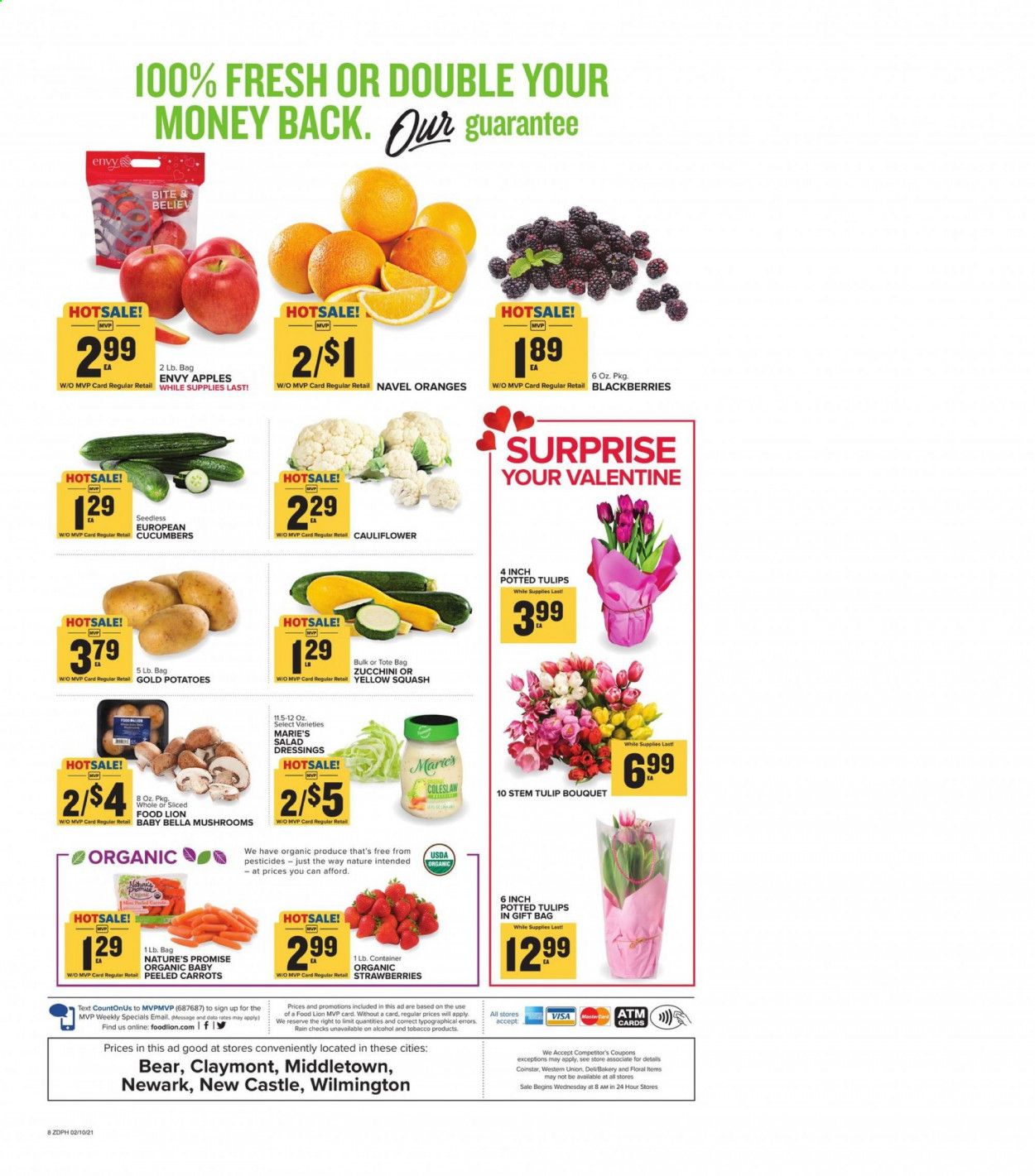 Food Lion (DE) Weekly Ad Flyer February 10 to February 16