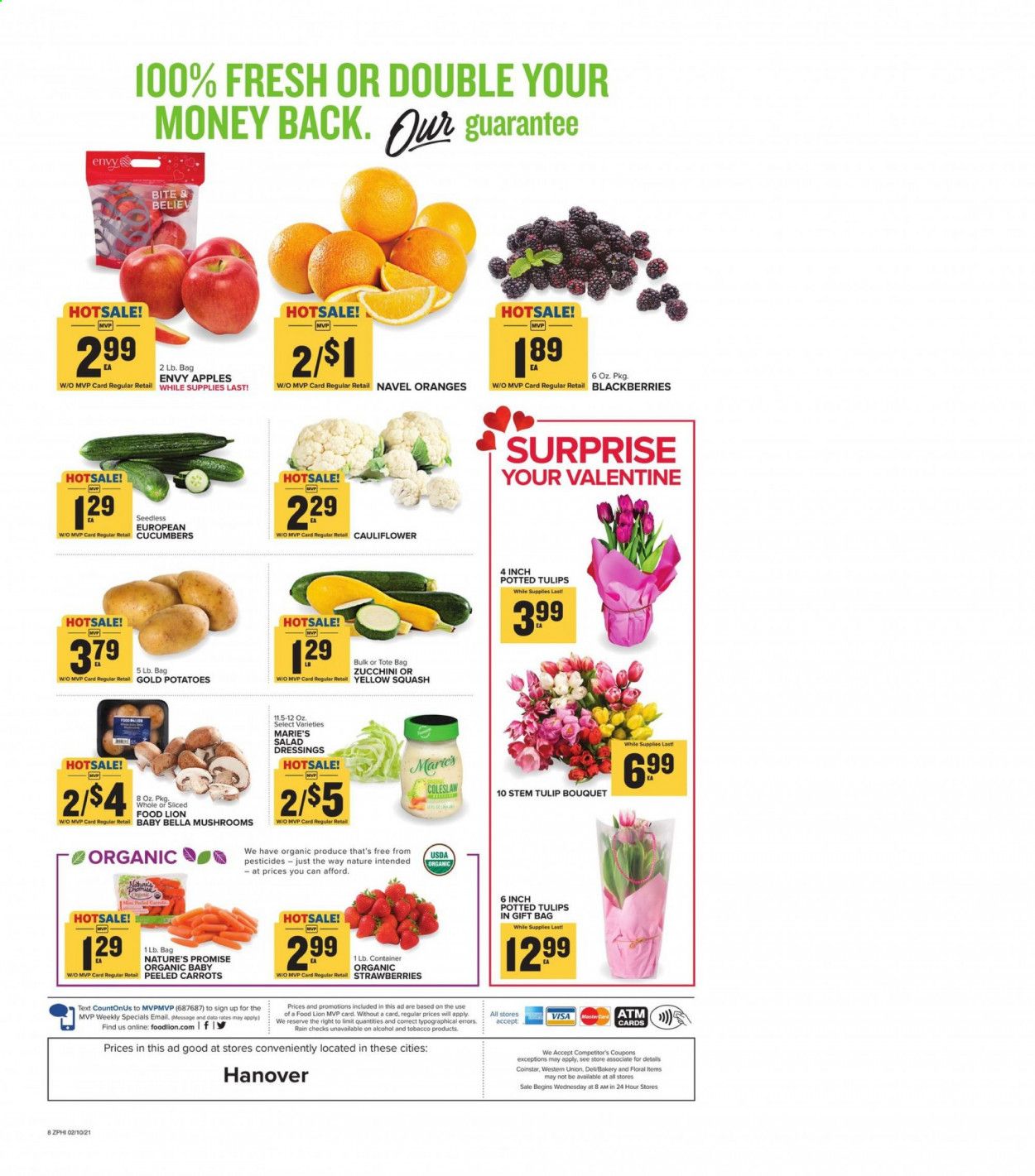 Food Lion (PA) Weekly Ad Flyer February 10 to February 16