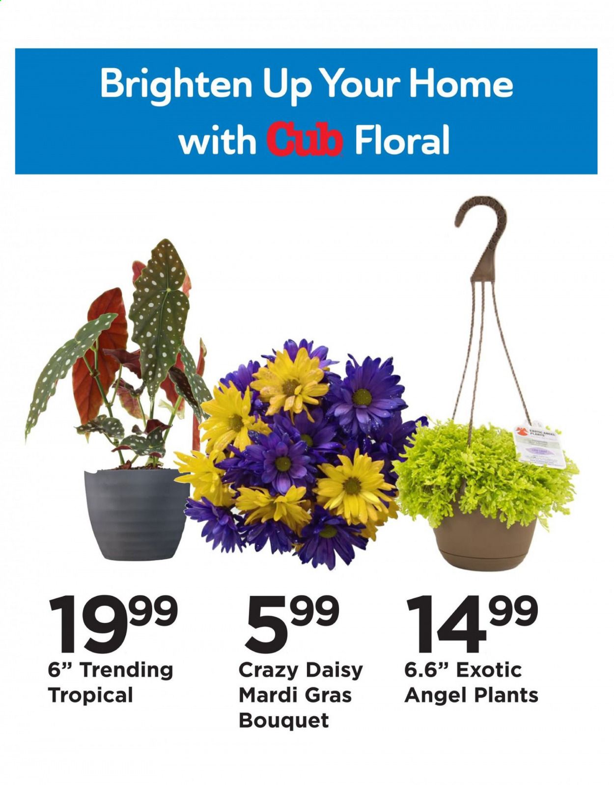 Cub Foods Weekly Ad Flyer February 16 to February 20