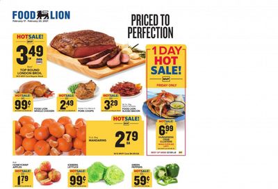 Food Lion (NC) Weekly Ad Flyer February 17 to February 23