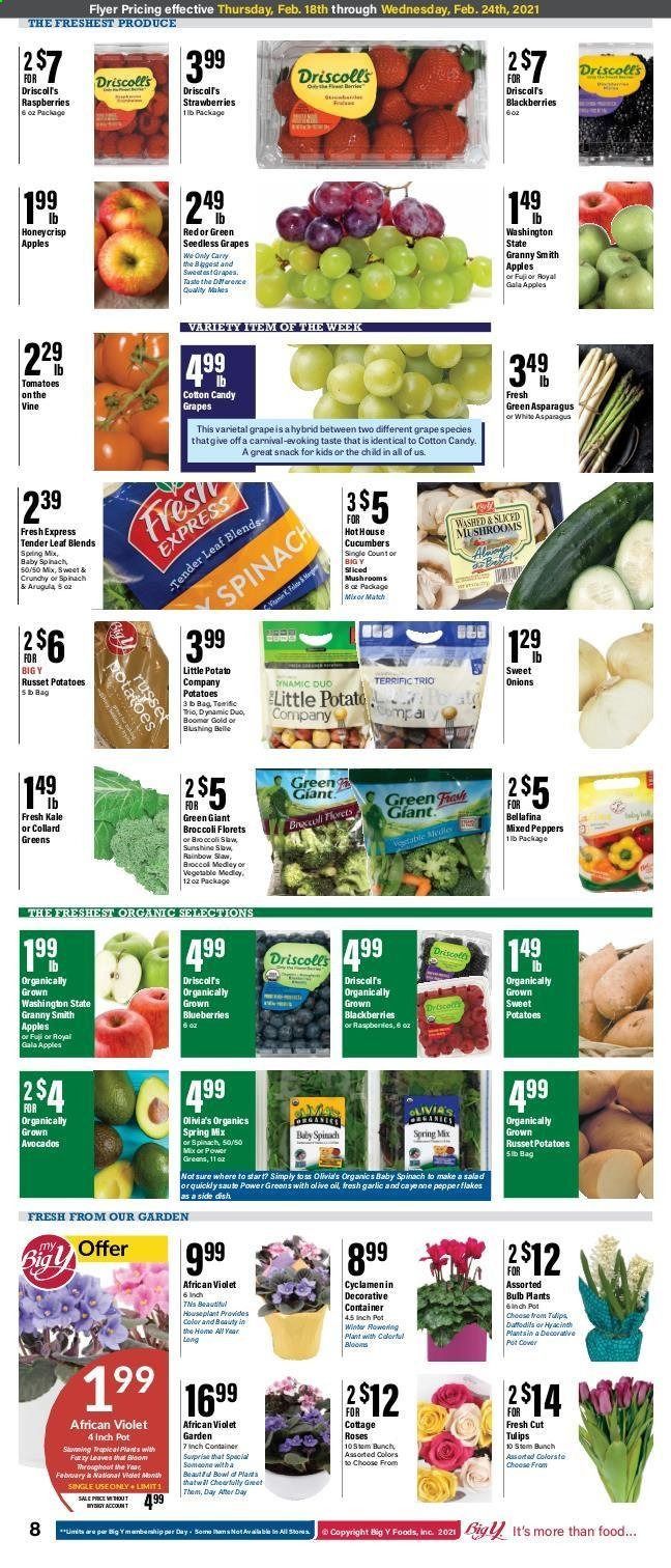 Big Y (MA) Weekly Ad Flyer February 18 to February 24