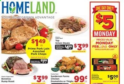 Homeland (OK, TX) Weekly Ad Flyer February 17 to February 23