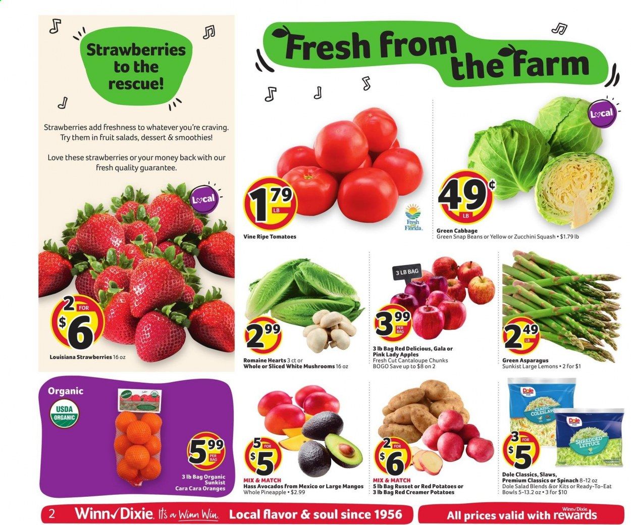 Winn Dixie (AL, FL, GA, LA, MS) Weekly Ad Flyer February 24 to March 2