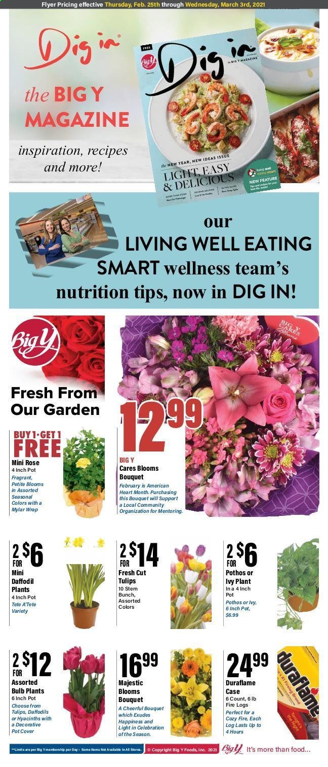 Big Y (CT) Weekly Ad Flyer February 25 to March 3