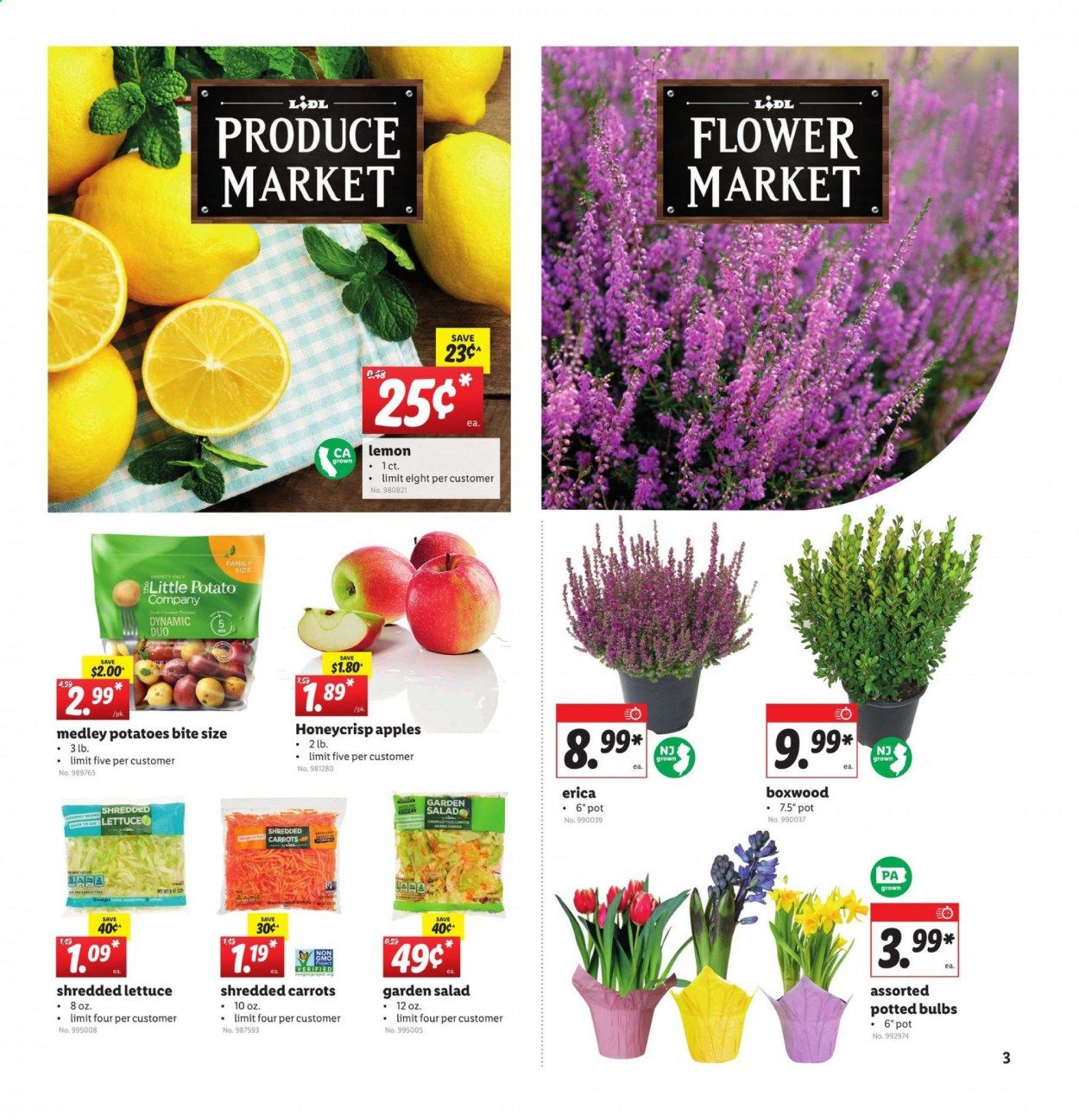 Lidl Weekly Ad Flyer March 3 to March 9