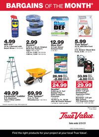 True Value Monthly Ad Flyer March 1 to March 28, 2020
