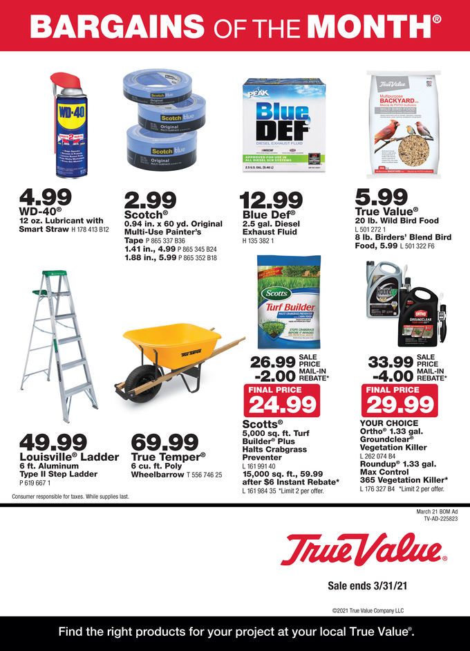 True Value Monthly Ad Flyer March 1 to March 28, 2020