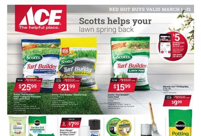 ACE Hardware Weekly Ad Flyer March 1 to March 31