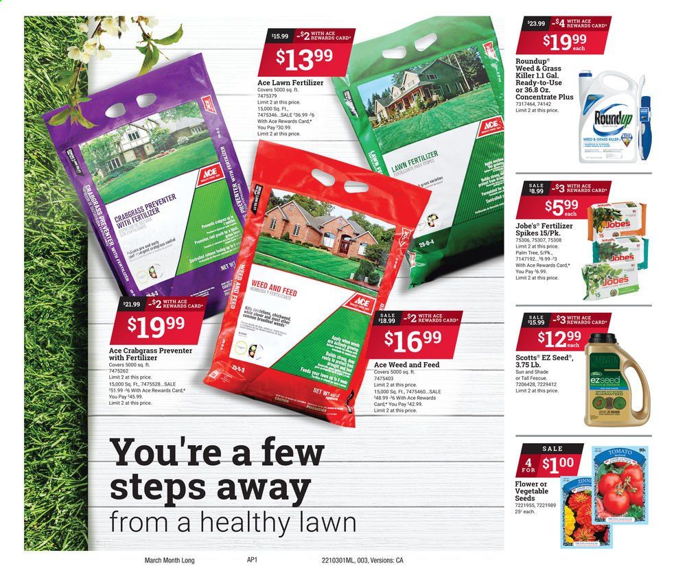 ACE Hardware Weekly Ad Flyer March 1 to March 31