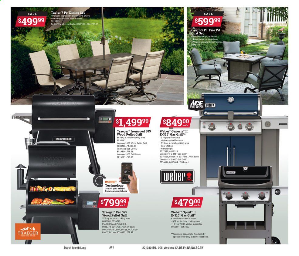 ACE Hardware Weekly Ad Flyer March 1 to March 31
