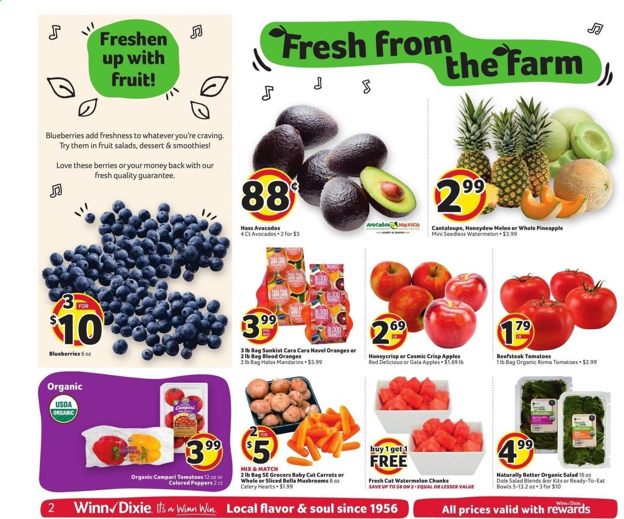 Winn Dixie (AL, FL, GA, LA, MS) Weekly Ad Flyer March 3 to March 9