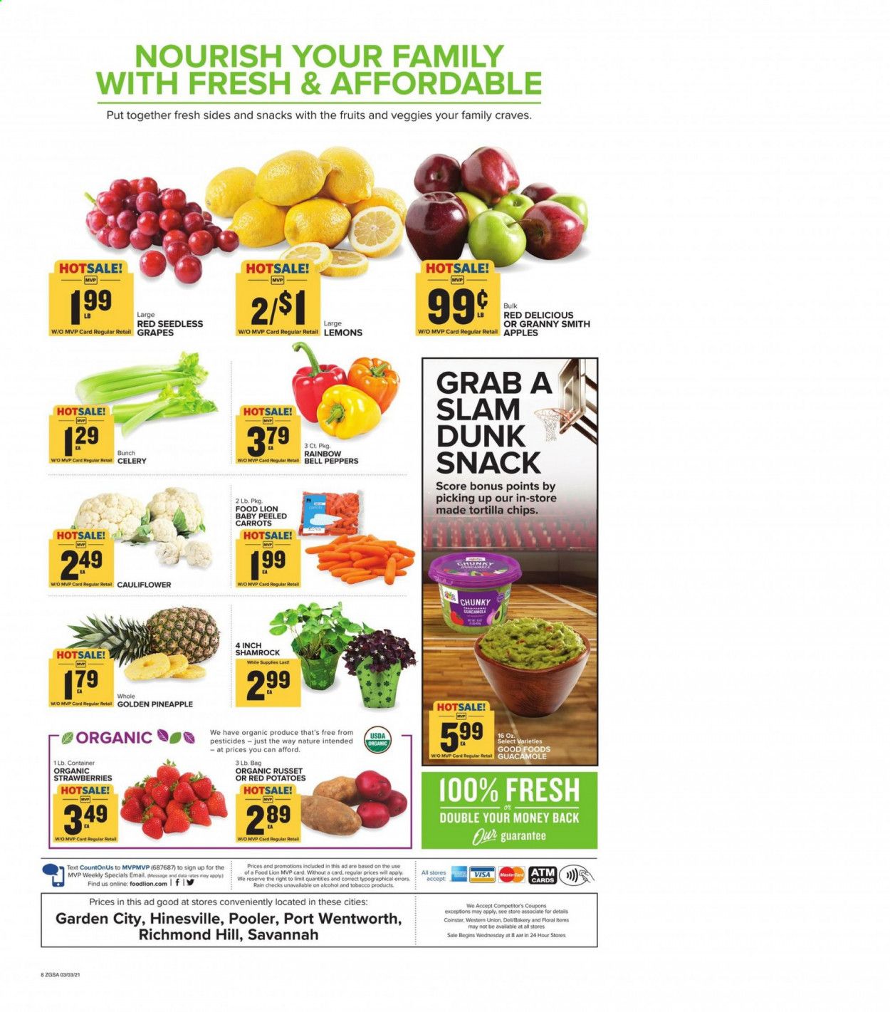 Food Lion (GA) Weekly Ad Flyer March 3 to March 9