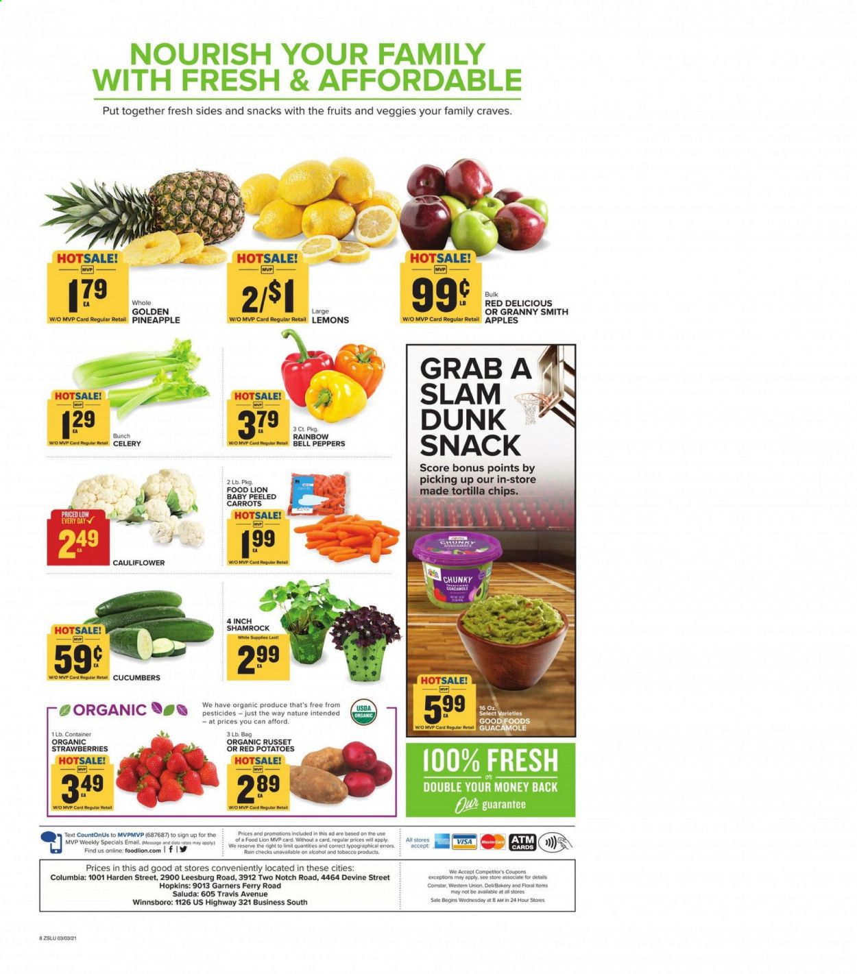 Food Lion (SC) Weekly Ad Flyer March 3 to March 9