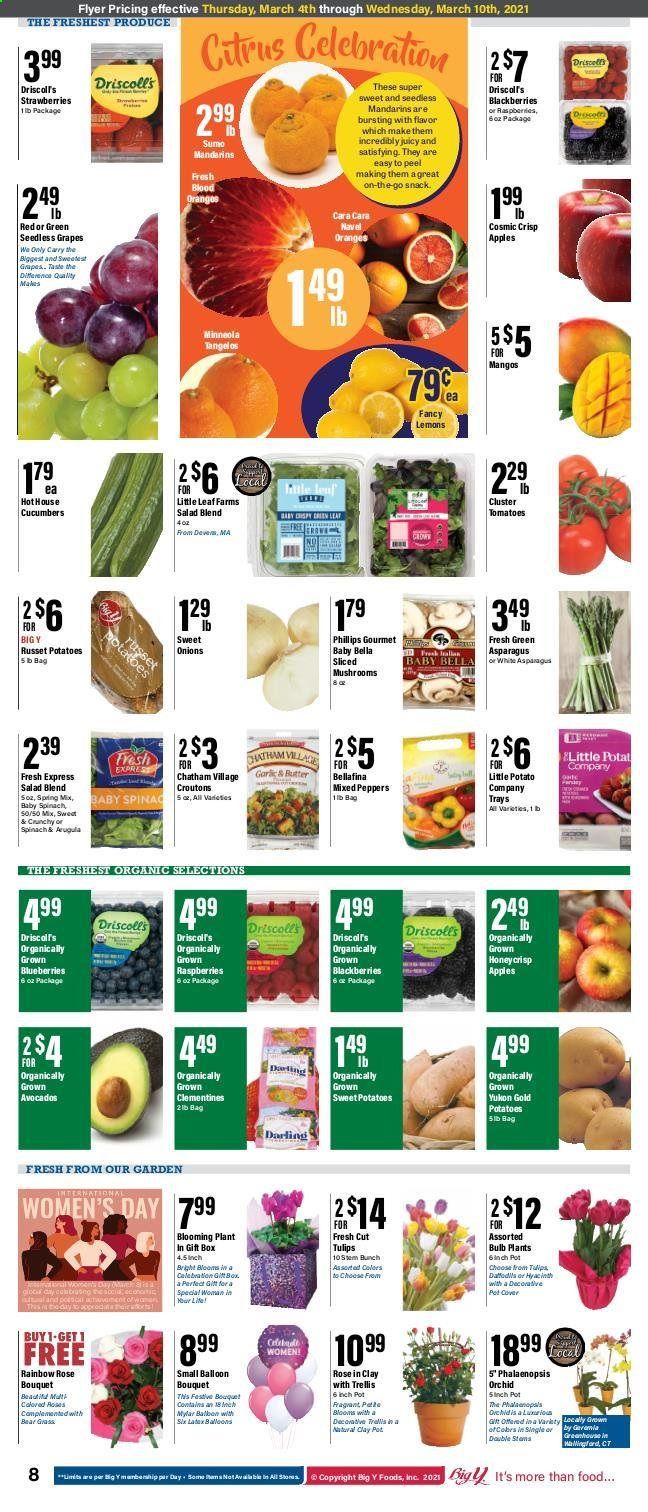 Big Y (CT) Weekly Ad Flyer March 4 to March 10