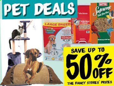 Ollie's Bargain Outlet Weekly Ad Flyer March 1 to March 31