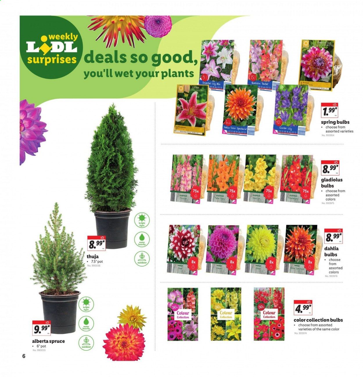 Lidl Weekly Ad Flyer March 10 to March 16