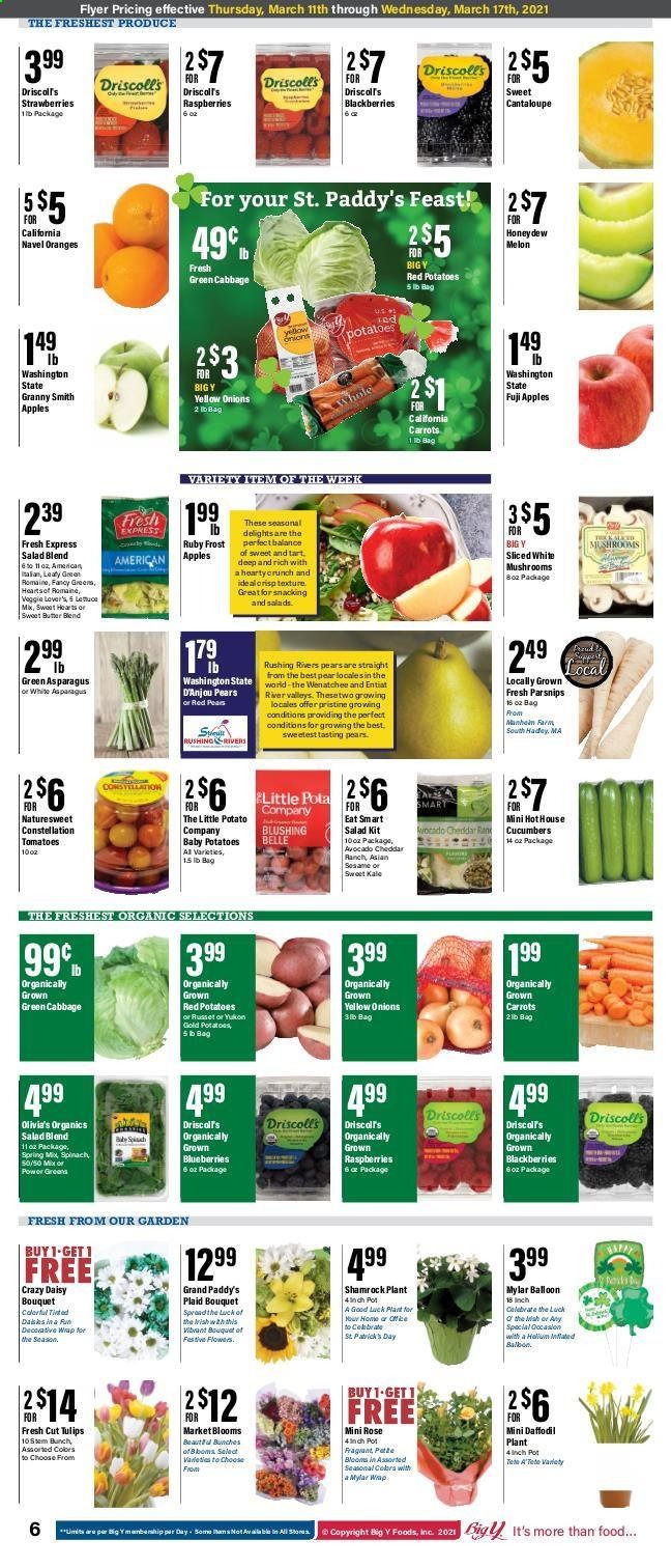 Big Y (CT) Weekly Ad Flyer March 11 to March 17