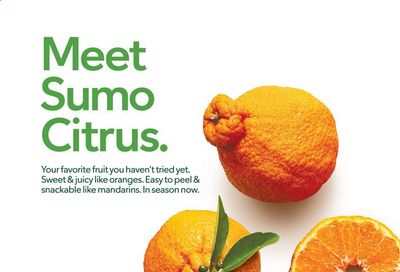 Publix (AL, FL, GA, NC, SC, TN, VA) Weekly Ad Flyer March 11 to March 17