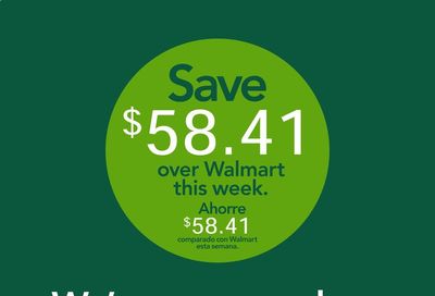 Publix (AL, FL, GA, NC, SC, TN) Weekly Ad Flyer March 11 to March 17