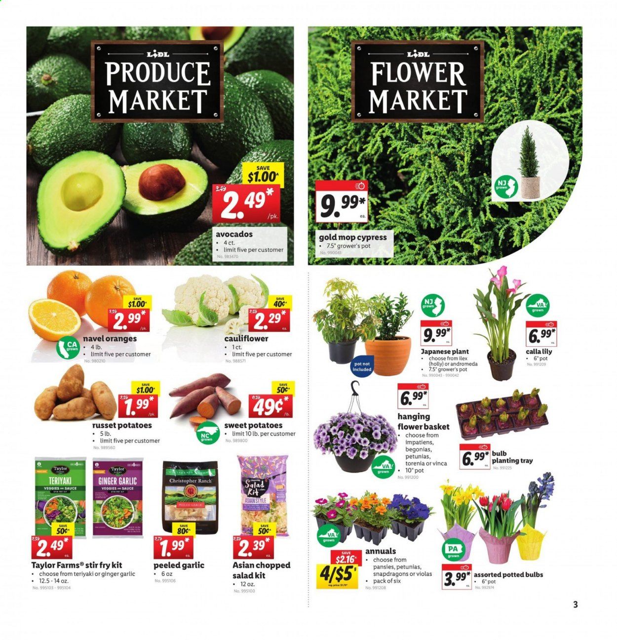 Lidl Weekly Ad Flyer March 17 to March 23