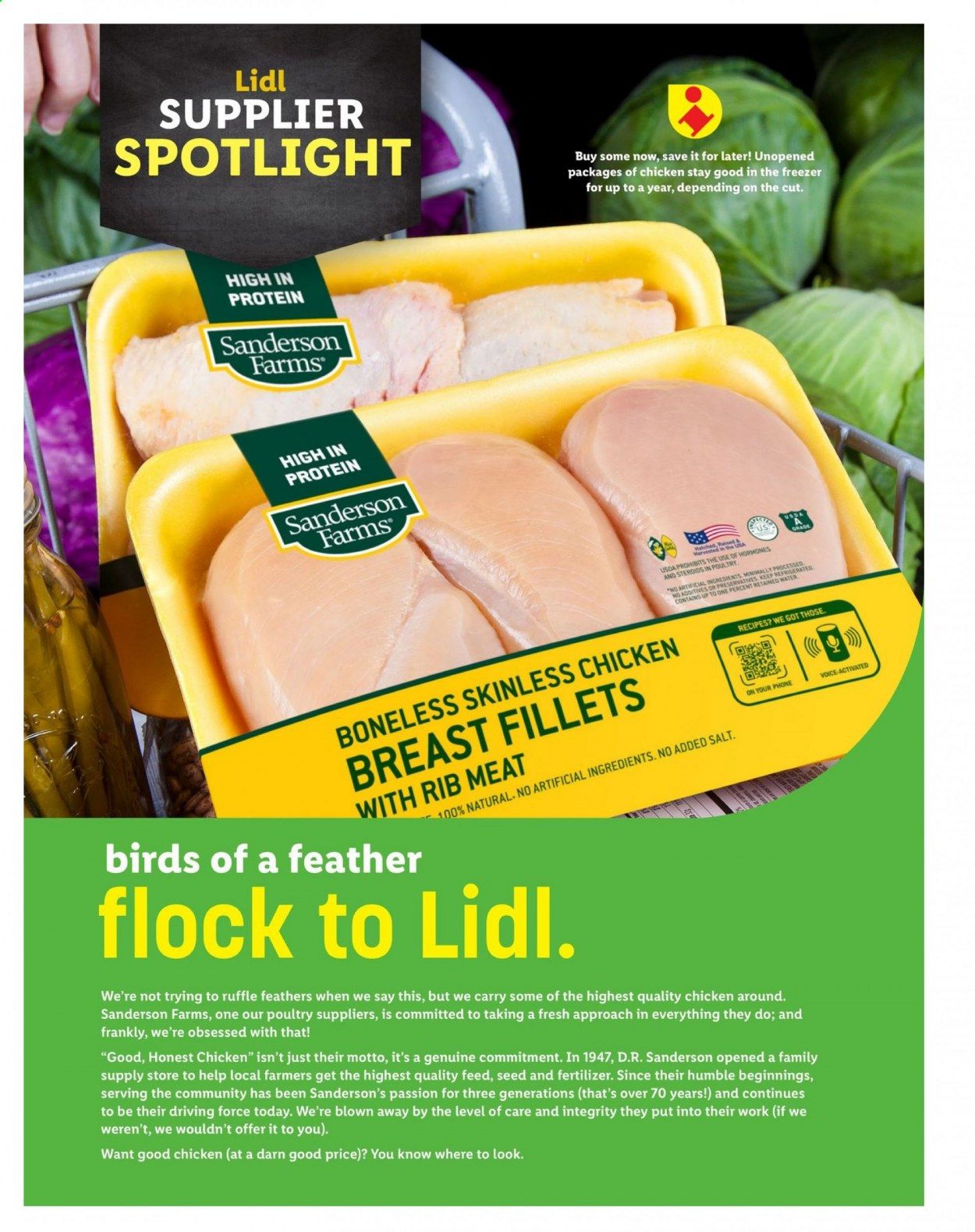 Lidl Weekly Ad Flyer March 10 to April 20