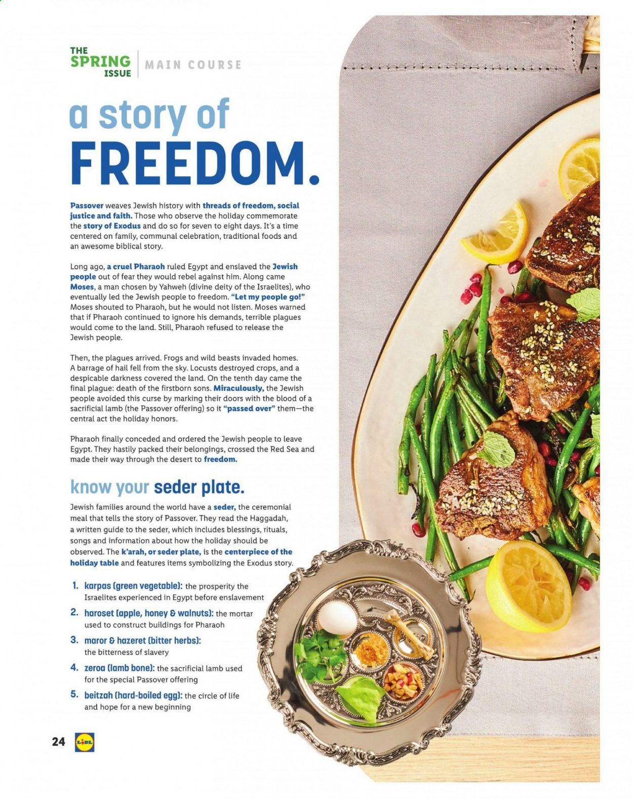 Lidl Weekly Ad Flyer March 10 to April 20