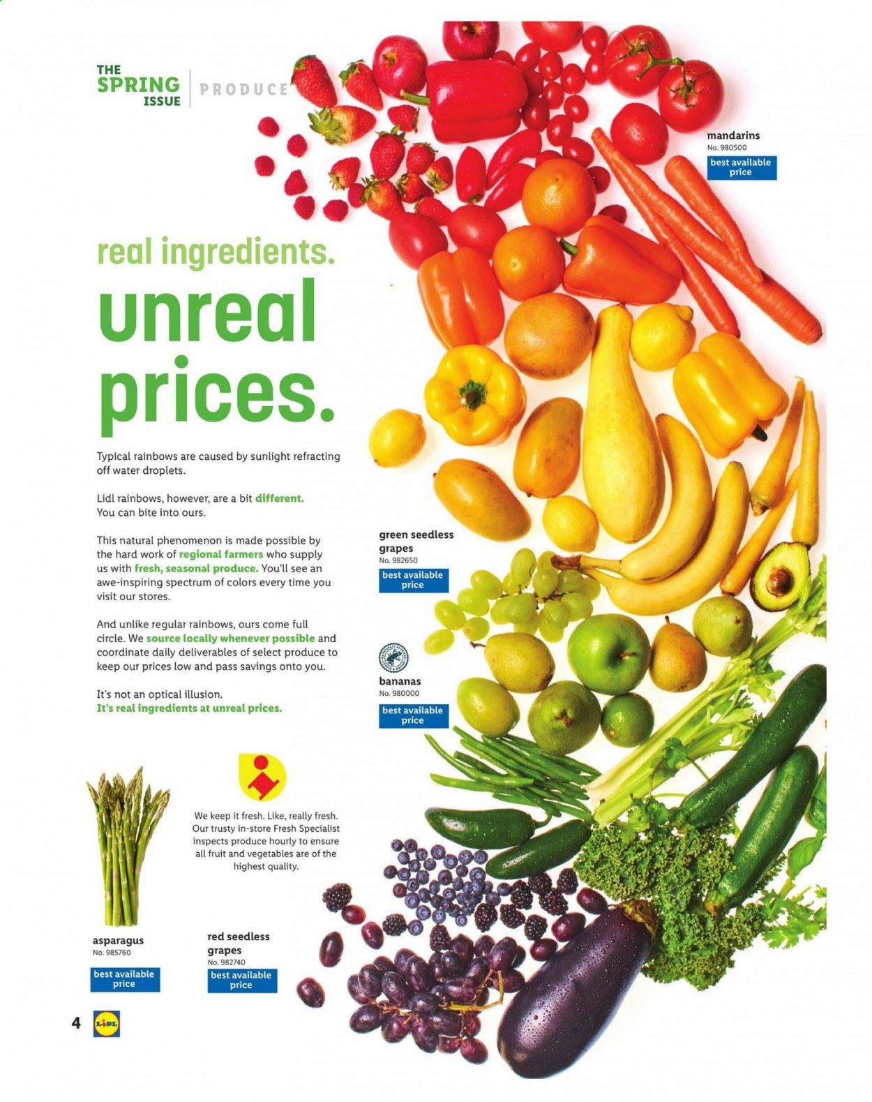 Lidl Weekly Ad Flyer March 10 to April 20