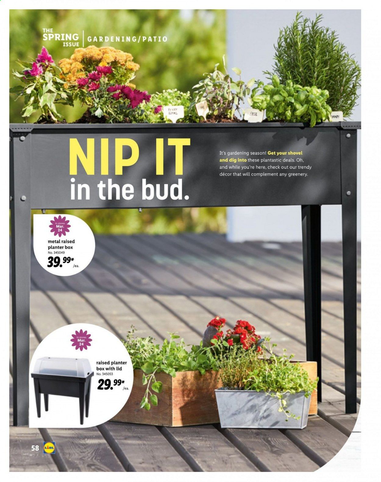 Lidl Weekly Ad Flyer March 10 to April 20