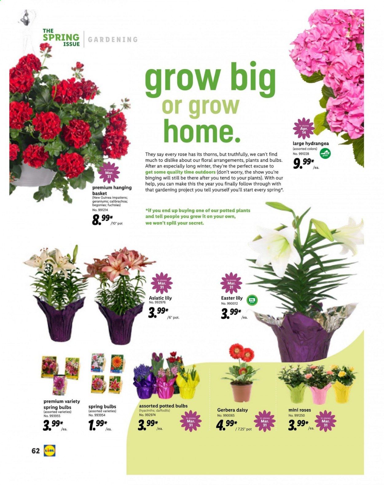Lidl Weekly Ad Flyer March 10 to April 20