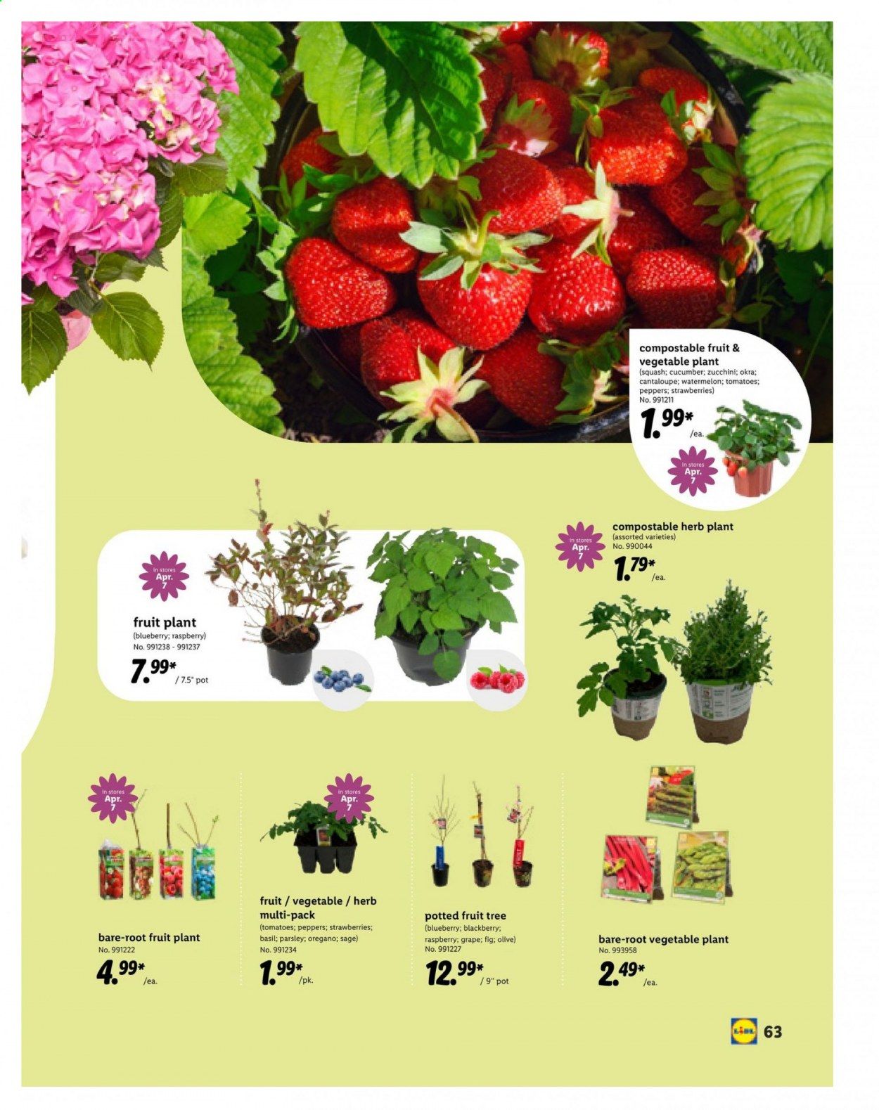 Lidl Weekly Ad Flyer March 10 to April 20