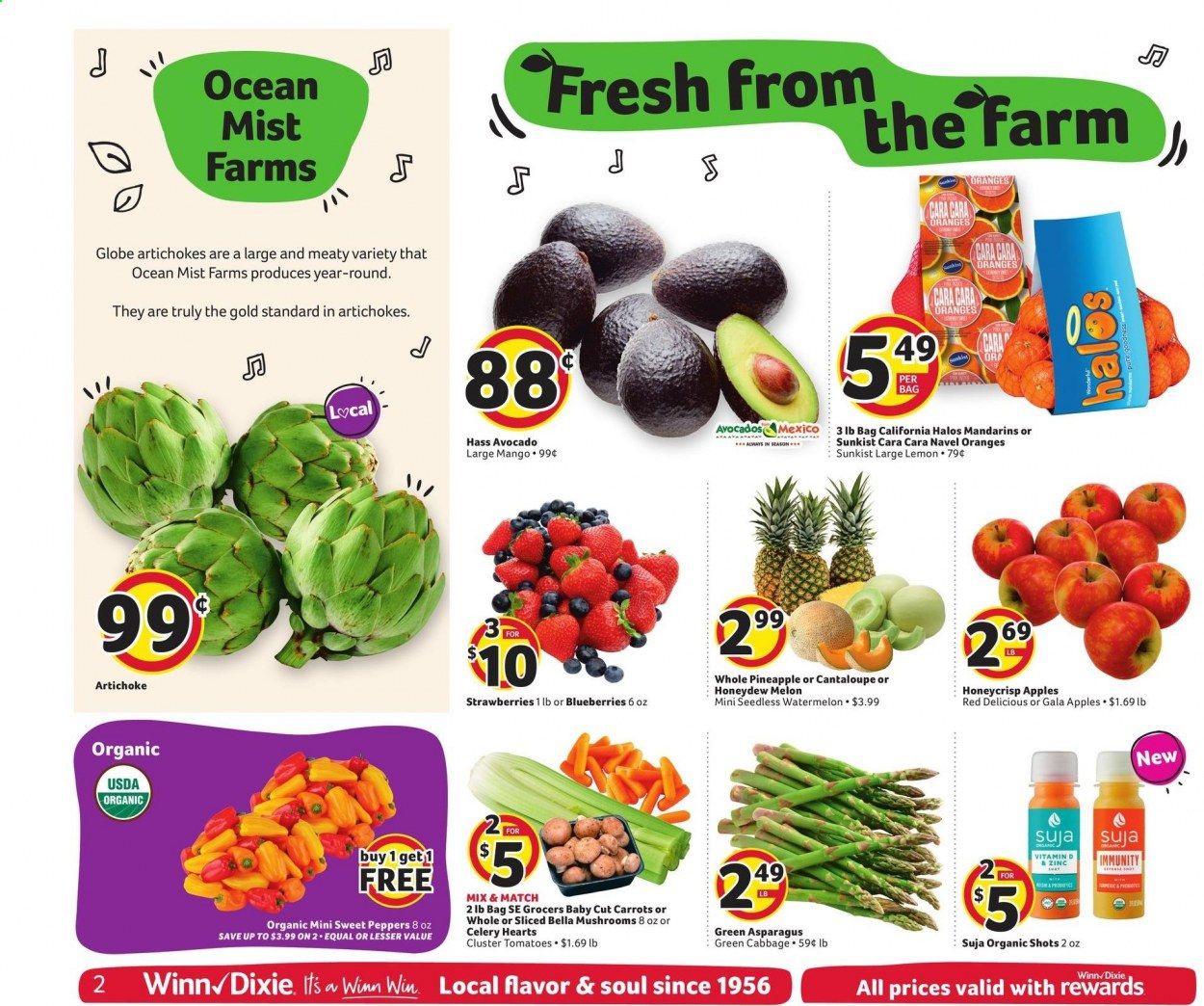 Winn Dixie (AL, FL, GA, LA, MS) Weekly Ad Flyer March 17 to March 23